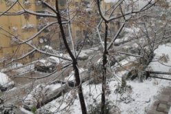 36  تدخلا لامتصاص مياه الأمطار ببعض البنايات و إعادة فتح بعض الطرقات في تلمسان