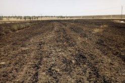 المسيلة : إلغاء قرارات الإستفادة من العقار الفلاحي لـ32 مستثمرا