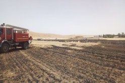 بالصور.. انقاذ 40 هكتار من المحصول الزراعي من الإتلاف بسعيدة
