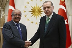 مساهل يسلم رسالة من الرئيس بوتفليقة إلى الرئيس التركي