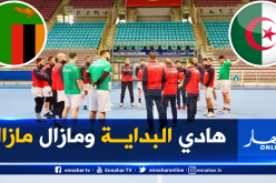 المنتخب الوطني لكرة اليد يفتتح مشواره في كان 2020 بفوز عريض 