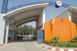 إطلاق نظام آلي لقراءة عدادات الكهرباء والغاز بولايات الوسط