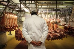 اللحوم السودانية في الجزائر بـ500 دينار للكلغ قريبا