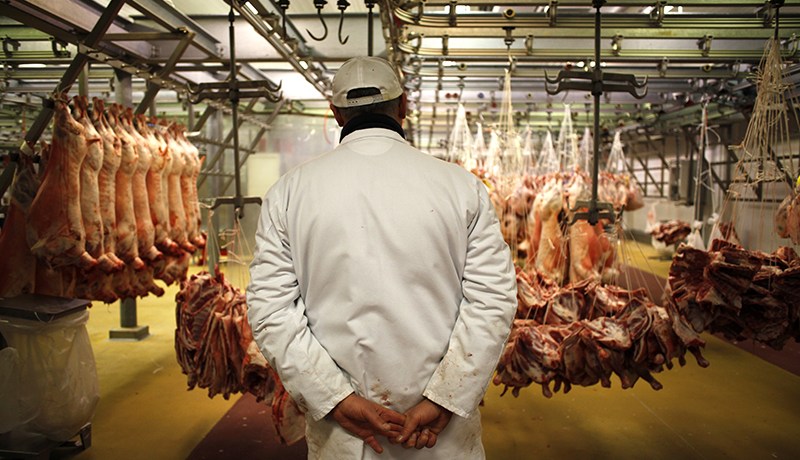 اللحوم السودانية في الجزائر بـ500 دينار للكلغ قريبا