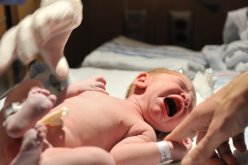 دليل الحامل الجديد يخرج القابلات إلى الشارع