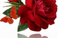 النهار تساعدك على تخطي العزوبية