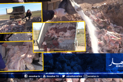 حجز 4 قناطير من الشحوم الحيوانية وكبد الدجاج الفاسدة بأم البواقي