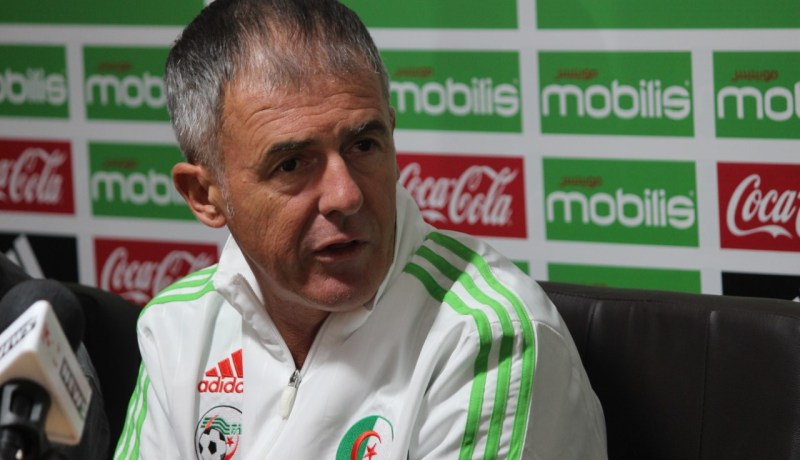 ألكاراز : في حياتي لم أرى جمهور كهذا