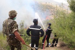 الجيش يتدخل لإخماد حريق غابة بتسمسيلت