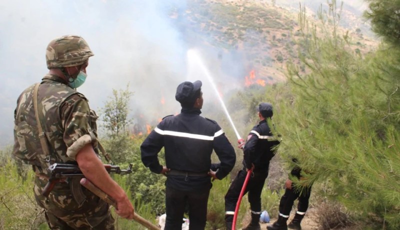 الجيش يتدخل لإخماد حريق غابة بتسمسيلت