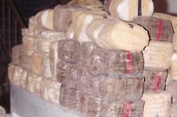 توقيف 10 أشخاص وحجز 27 كلغ من الـ ''كيف'' في مستغانم