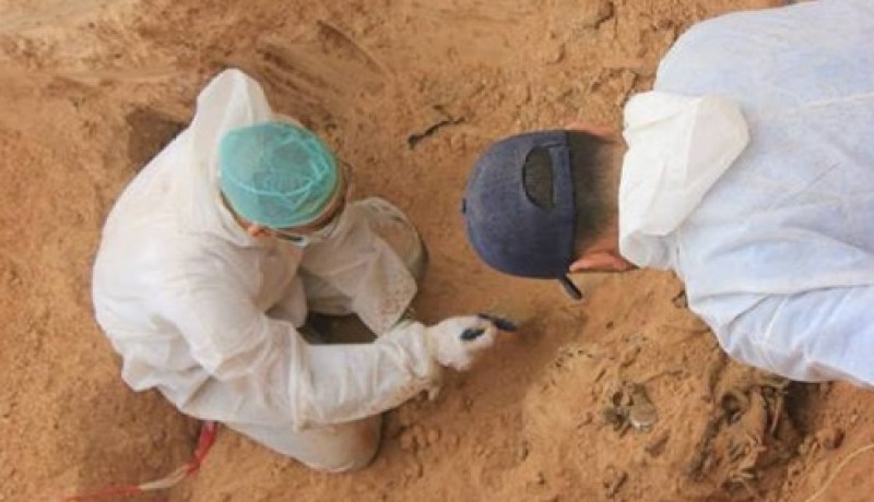 العثور على مقبرة جماعية في ورشة بناء بعنابة