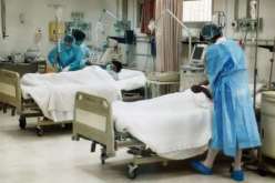 تسجيل أول حاة وفاة بإنفلونزا الطيور في مصر