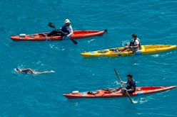 أمريكية عمرها 64 عاما تعبر المحيط من كوبا إلى أمريكا بدون قفص حماية من أسماك القرش