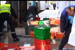 بالفيديو الحكومة تستنجد بالملبنات العمومية وتتوعد بانهاء عهد مافيا بودرة الحليب