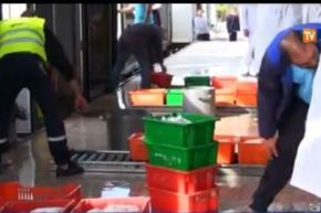 بالفيديو الحكومة تستنجد بالملبنات العمومية وتتوعد بانهاء عهد مافيا بودرة الحليب