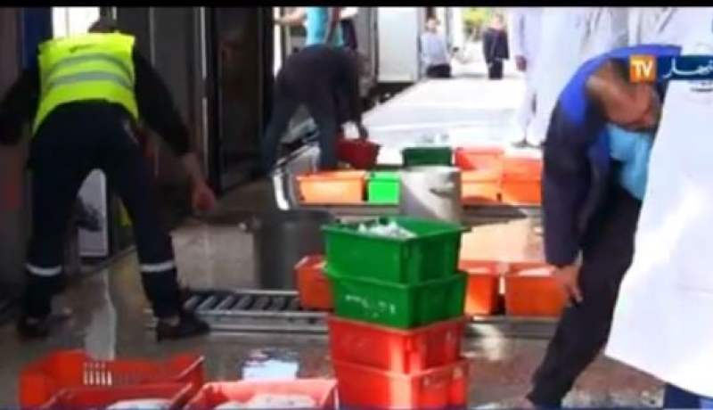 بالفيديو الحكومة تستنجد بالملبنات العمومية وتتوعد بانهاء عهد مافيا بودرة الحليب