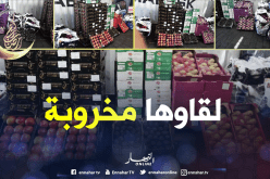 حجز 90 قنطار من الفواكه المستوردة بميناء العاصمة