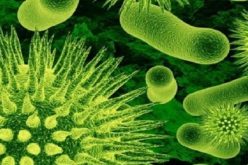 أطباء بريطانيون يكتشفون بكتيريا تقضي على العدوى