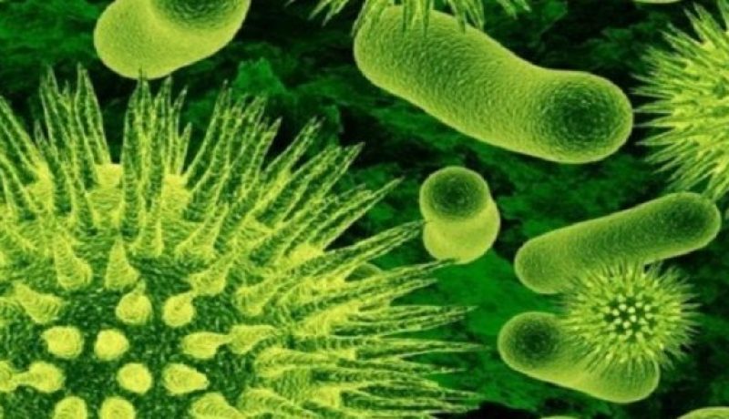 أطباء بريطانيون يكتشفون بكتيريا تقضي على العدوى