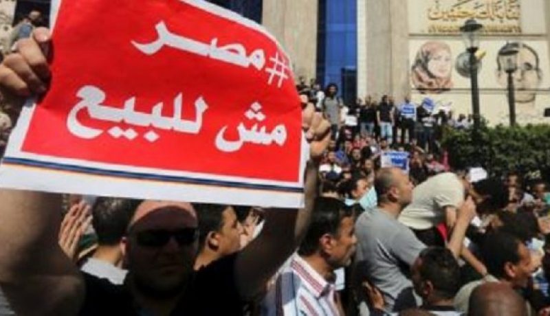 مصر تبدأ محاكمة 237 ناشطا اعتقلوا في احتجاج على اتفاقية مع السعودية