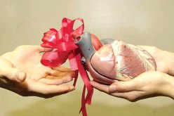 يوم دراسي  حول التوعية بأهمية التبرع بالأعضاء بالبليدة