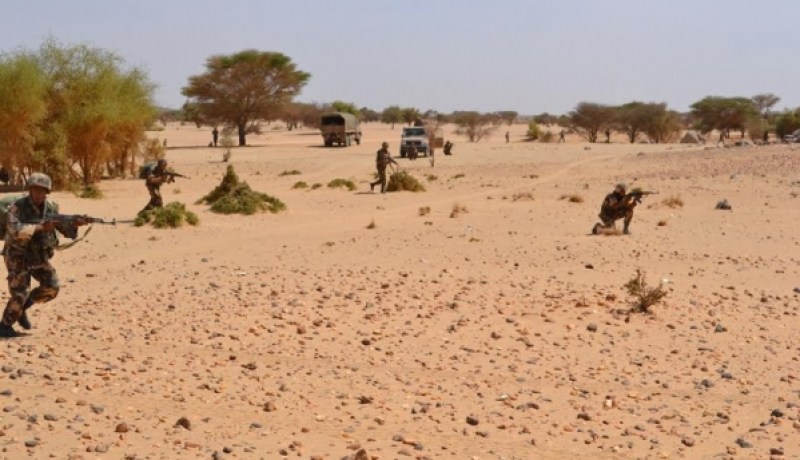 القبض على 28 مهربا من جنسيات مختلفة وحجز 4 عربات جنوب البلاد