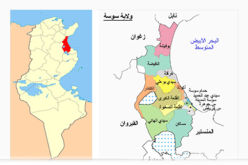 القبض على إرهابيين تابعين لخلية نابل بسوسة في تونس