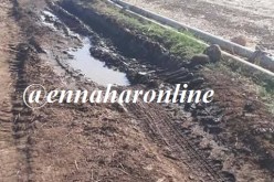 إتلاف 10 هكتارات من المحاصيل المسقية بـ«الزيڤو» في حامة بوزيان بقسنطينة