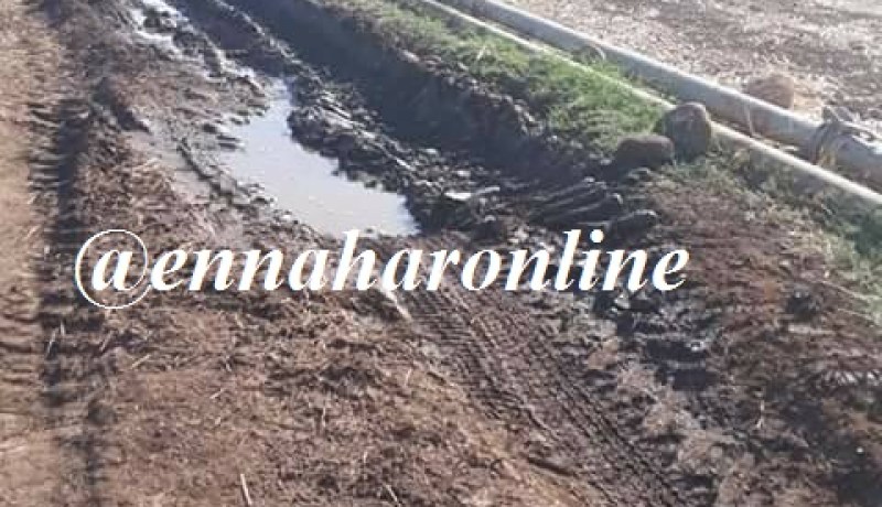 إتلاف 10 هكتارات من المحاصيل المسقية بـ«الزيڤو» في حامة بوزيان بقسنطينة