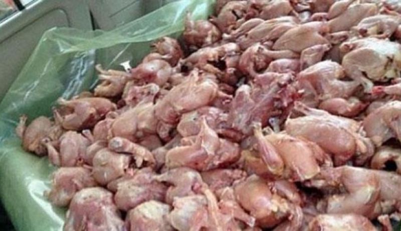 عين تموشنت: حجز قنطارين من الدجاج الفاسد