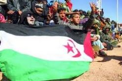 الجزائر وبنين تدعمان تقرير مصير الشعب الصحراوي