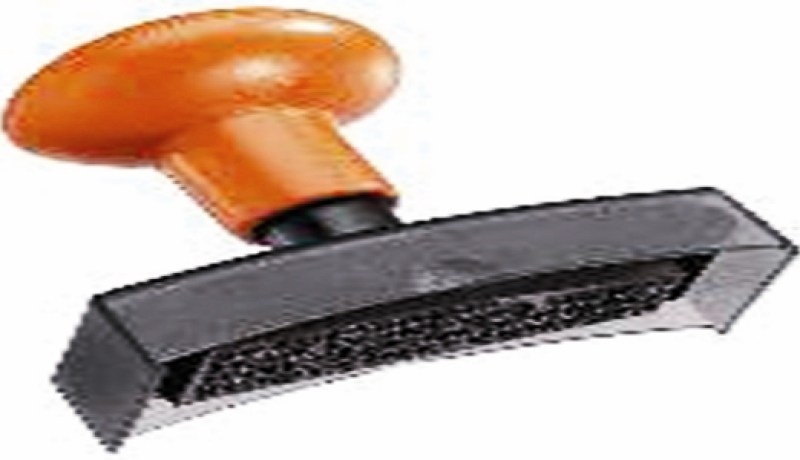 العثور على ختم إدارة ثانوية بحوزة تلميذ في‮ ‬تيارت