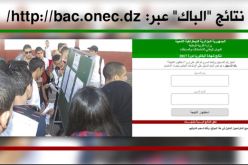 الإفراج عن نتائج البكالوريا عبر الرسائل القصيرة وموقع “أوناك”