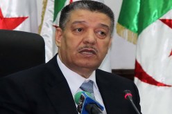 وكالة الدواء هيكل بلا روح
