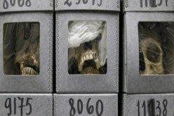 جماجم الشهداء وقادة المقاومة الجزائريين لا يمكن إعادتها