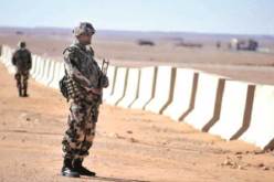 توقيف مجرم واسترجاع مسدس آلي وكمية من الذخيرة بعين أمناس