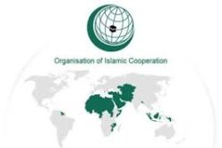 التعاون الاسلامي تدعو لاجتماع طارئ لليمن