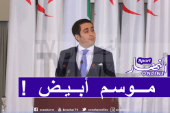 وزارة الشباب والرياضة تدرس مصير الموسم الرياضي
