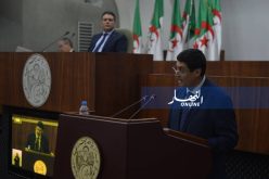 زيتوني: “مظاهرات 11 ديسمبر..غيرت مجرى تاريخ البشرية والإنسانية جمعاء”