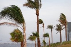 الأرصاد الجوية تتوقع هبوب رياح قوية نسبيا بكل السواحل يوم الأحد