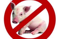 خنازير تهاجم رجل أعمال في الوادي