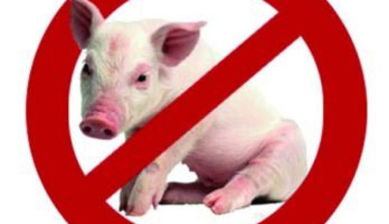 خنازير تهاجم رجل أعمال في الوادي