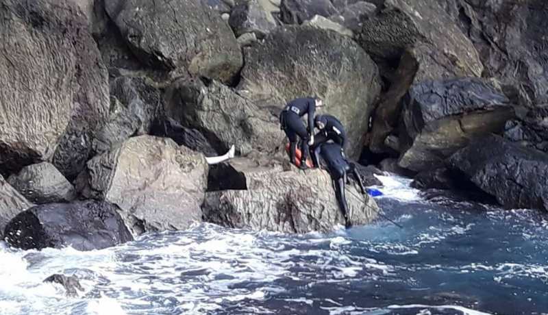 تيبازة.. انتشال جثث 5 غرقى خلال 3 أيام