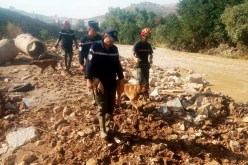 240 عونا للحماية المدنية وتدعيم من 5 ولايات للبحث عن شخص جرفته سيول قسنطينة