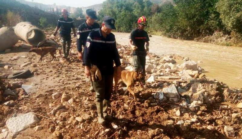 240 عونا للحماية المدنية وتدعيم من 5 ولايات للبحث عن شخص جرفته سيول قسنطينة