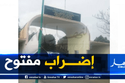 إستمرار إضراب طلبة الملحق الجامعي بقصر الشلالة وسط تخوفات من سنة بيضاء