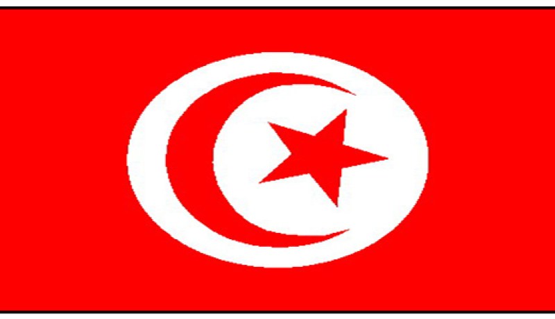 تونس تتنازل لإيطاليا مؤقتا عن نصيبها من الغاز الجزائري