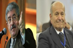 الخبر مكسب إعلامي وربراب قام بتسييس القضية