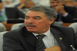 حجار شجرة لكل شهيد